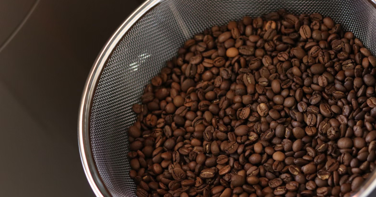 Dear Deer Coffee Roasting Bar Ellerslie