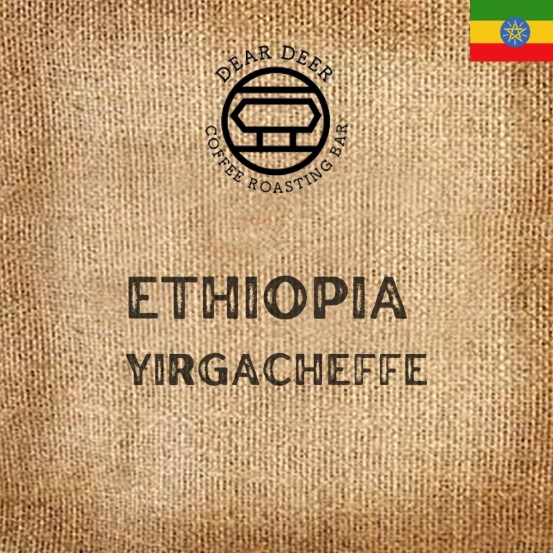 【Beans of the Month】Ethiopia Yirgacheffe Washed - Wholesale