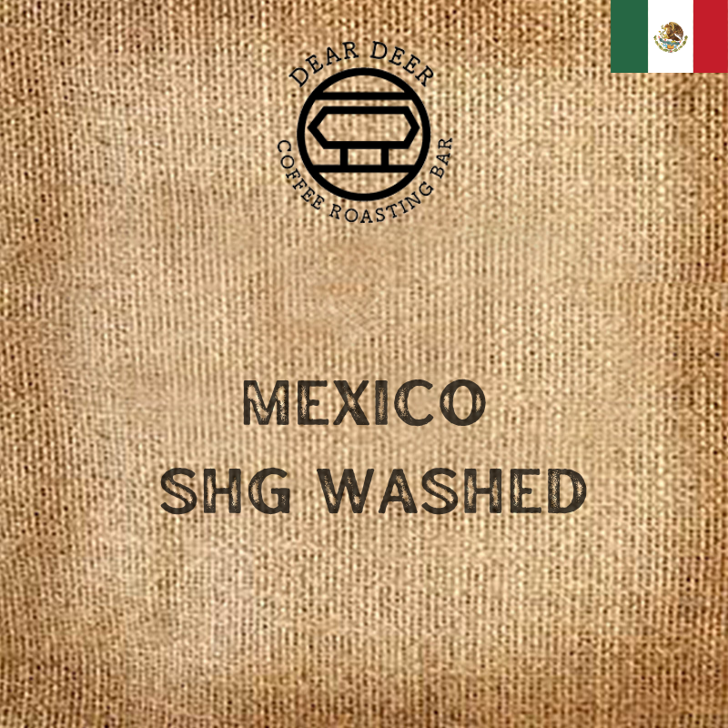(BEANS OF THE MONTH) Mexico Chiapas Altura Montane Maya SHG